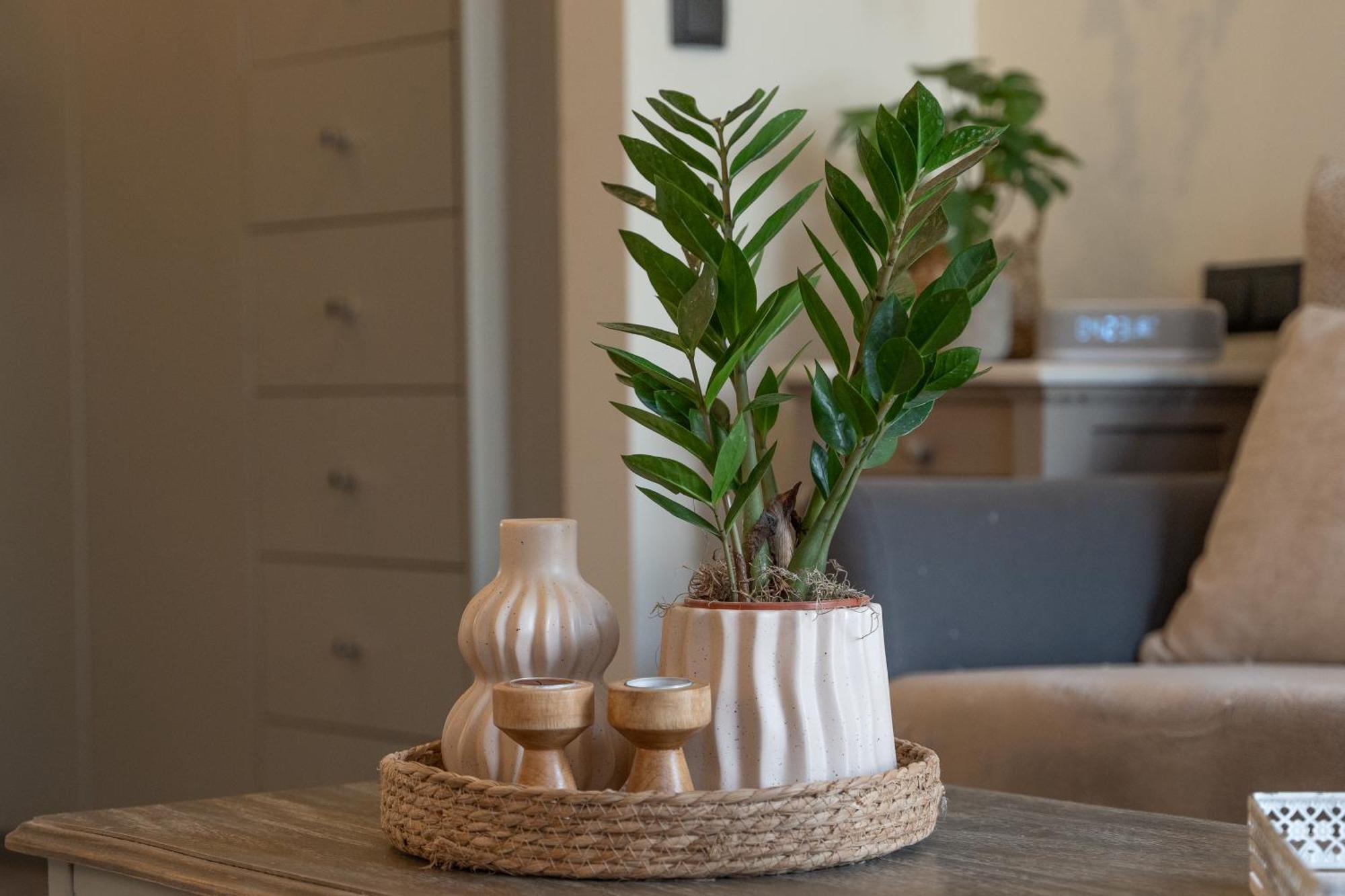 Ixia Home Lejlighed Ixia (Rhodes)